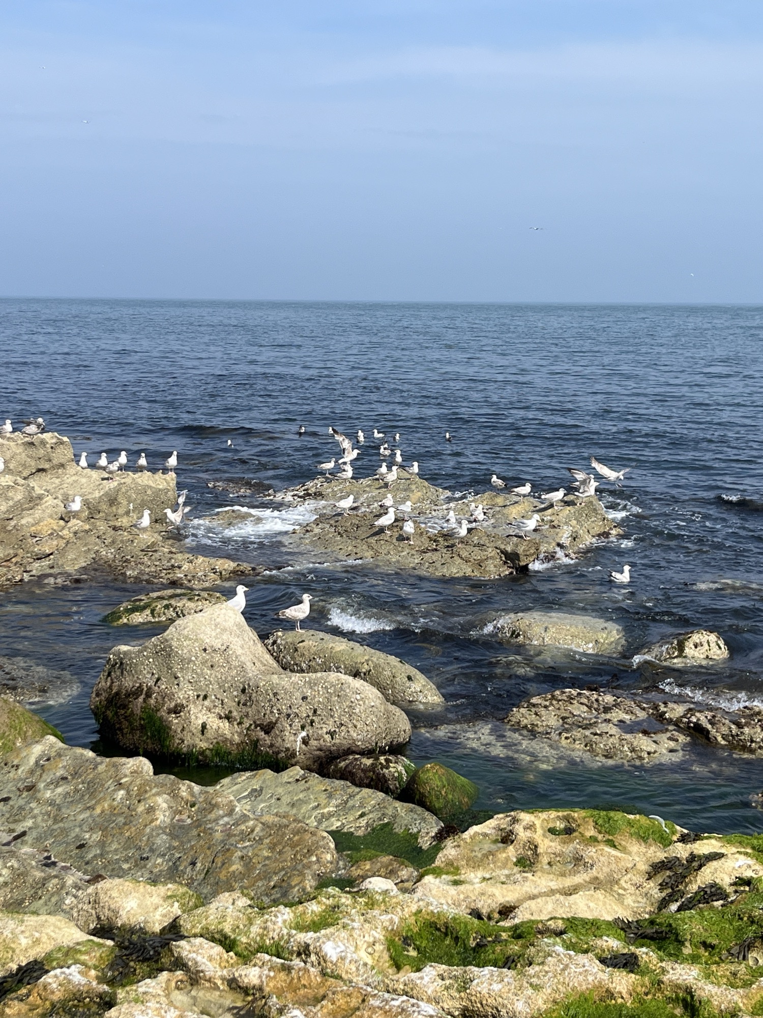 Weymouth – 12th May 2024
